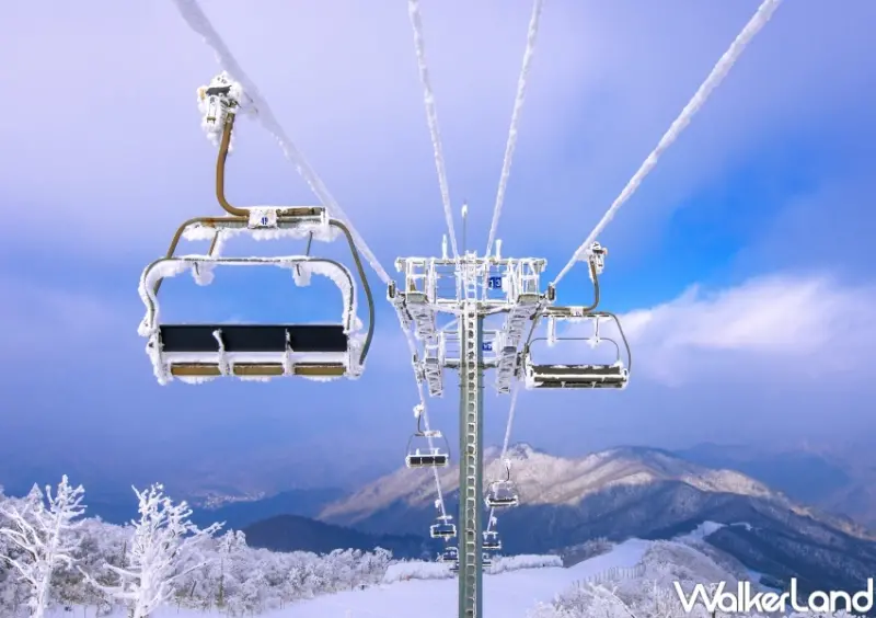 易遊網日韓一日遊行程排行榜  / WalkerLand窩客島整理提供 未經許可，不得轉載