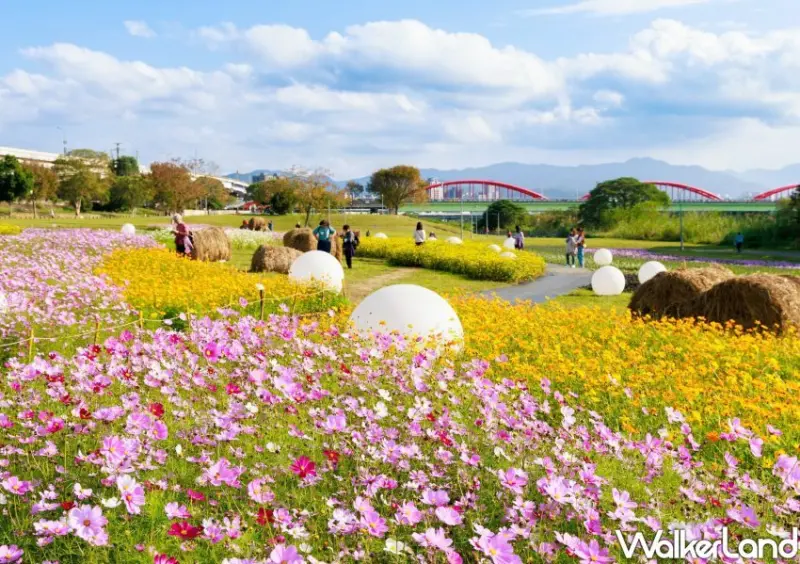 古亭河濱公園花海 / WalkerLand窩客島整理提供 未經許可不可轉載。
