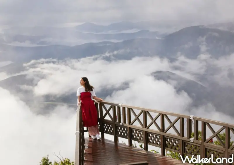 星宇航空、星野集團北海道包機/ WalkerLand窩客島整理提供 未經許可不可轉載。