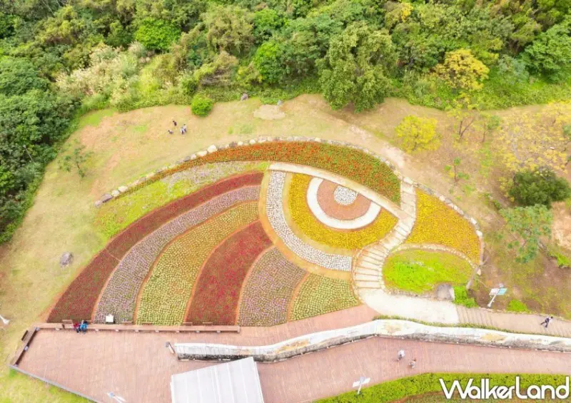 北投三層崎花海 / WalkerLand窩客島整理提供 未經許可不可轉載