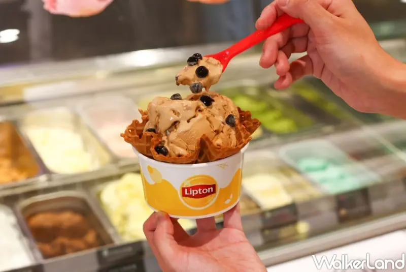 COLDSTONE 新品推薦  / WalkerLand窩客島整理提供 未經許可，不得轉載