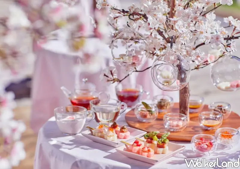 星宇航空、星野集團北海道包機/ WalkerLand窩客島整理提供 未經許可不可轉載。