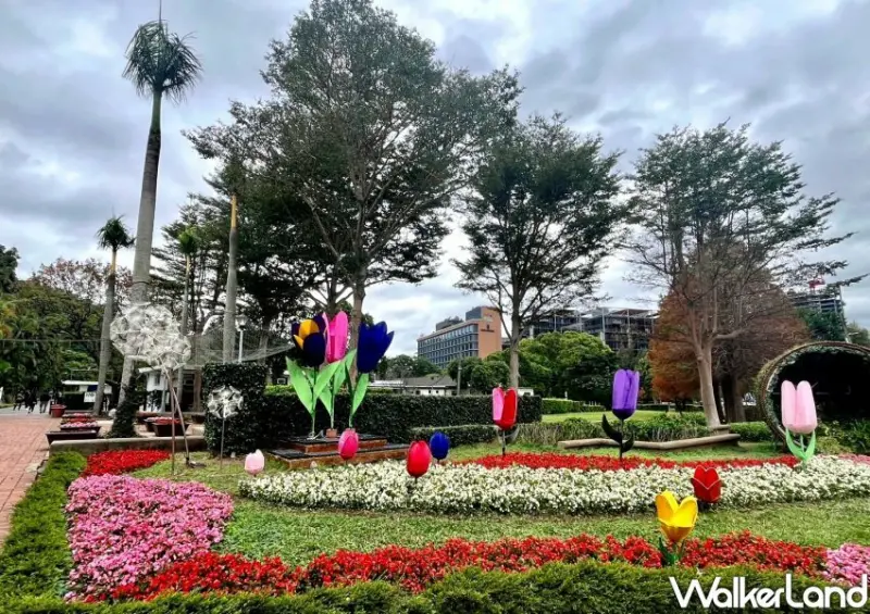 2024士林官邸鬱金香展/ WalkerLand窩客島整理提供 未經許可不可轉載