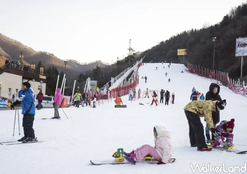 易遊網日韓一日遊行程排行榜  / WalkerLand窩客島整理提供 未經許可，不得轉載