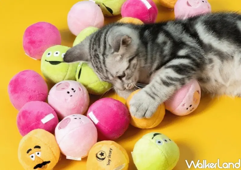 7-ELEVEN 222貓之日限定優惠  / WalkerLand窩客島整理提供 未經許可，不得轉載