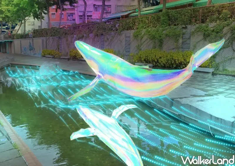 新莊中港大排光雕 / WalkerLand窩客島整理提供 未經許可不可轉載。