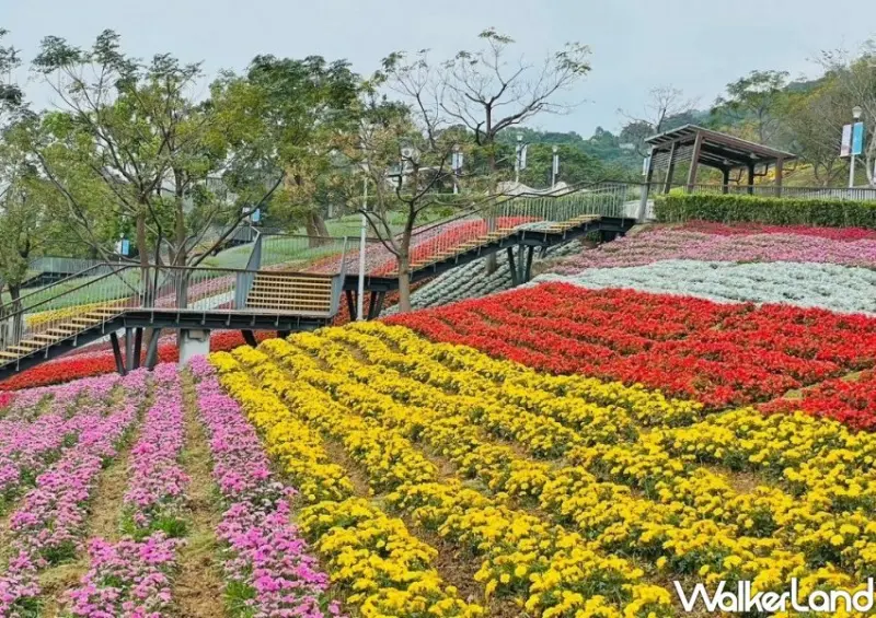 北投三層崎花海 / WalkerLand窩客島整理提供 未經許可不可轉載