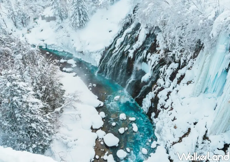 易遊網日韓一日遊行程排行榜  / WalkerLand窩客島整理提供 未經許可，不得轉載