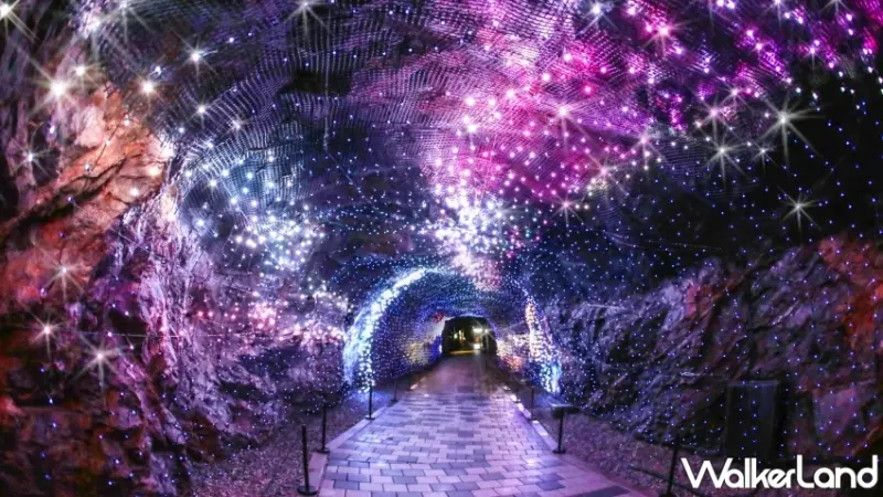 2024韓國5大浪漫花海推薦