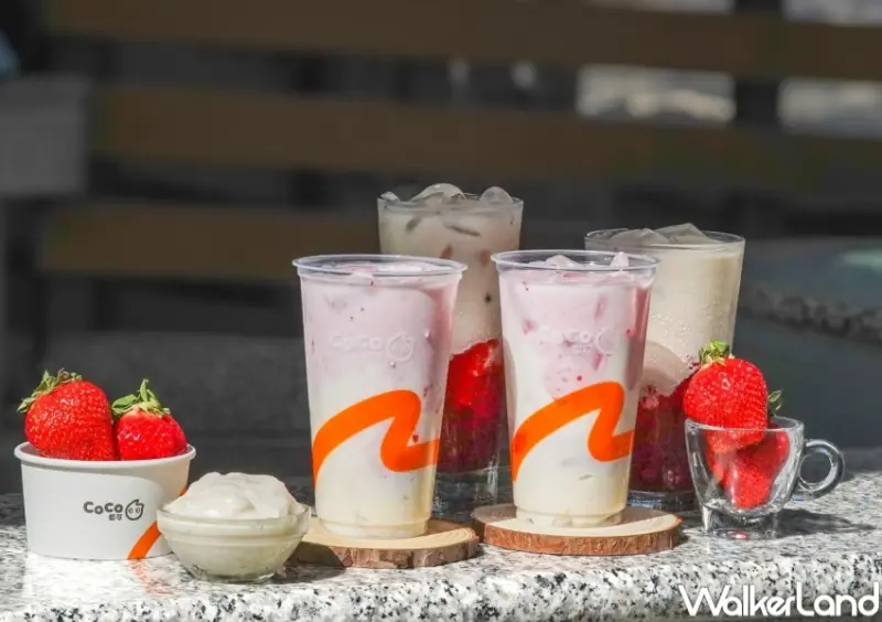 CoCo 草莓蒸大福  / WalkerLand窩客島整理提供 未經許可，不得轉載