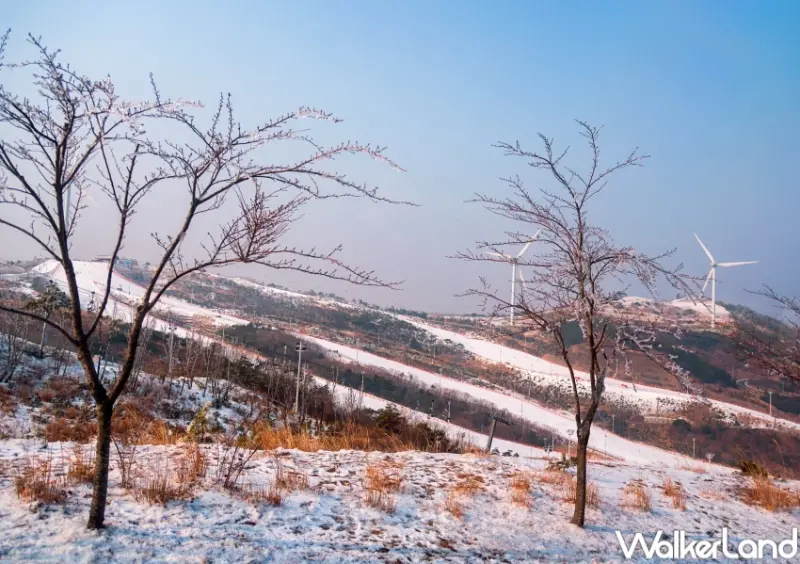 易遊網日韓一日遊行程排行榜  / WalkerLand窩客島整理提供 未經許可，不得轉載