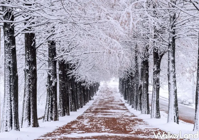 易遊網日韓一日遊行程排行榜  / WalkerLand窩客島整理提供 未經許可，不得轉載