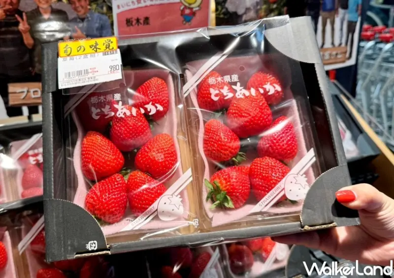 LOPIA Global Mall新北中和店  / WalkerLand窩客島整理提供 未經許可，不得轉載