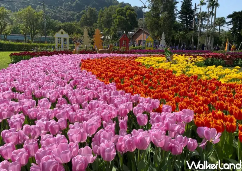 2024士林官邸鬱金香展/ WalkerLand窩客島整理提供 未經許可不可轉載
