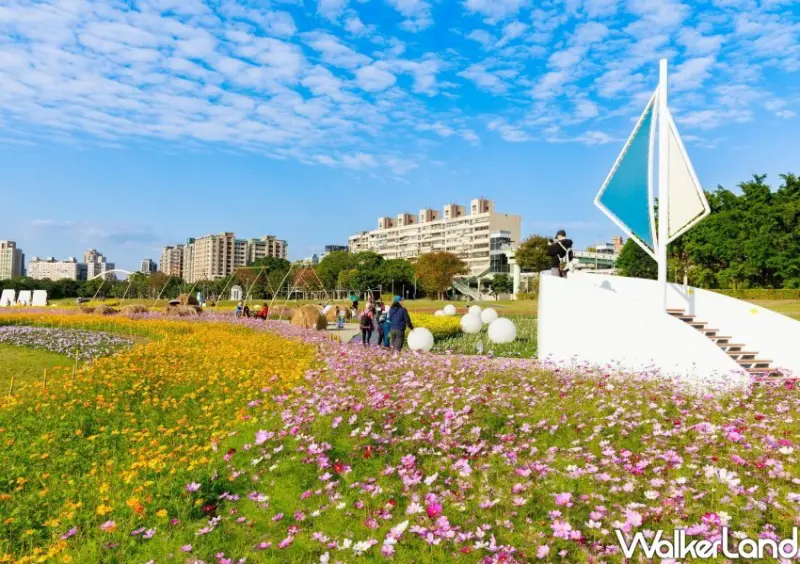 古亭河濱公園花海 / WalkerLand窩客島整理提供 未經許可不可轉載。