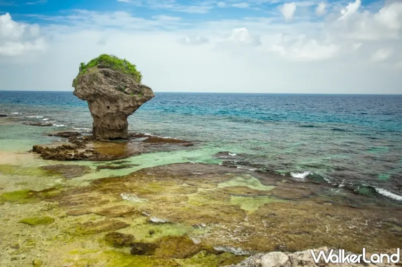 2024 台灣最好客城市排名