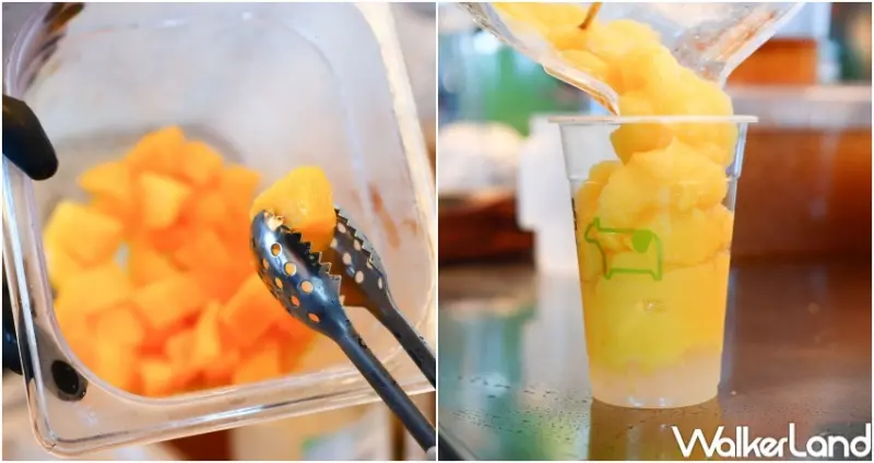 迷客夏 台北101觀景店  / WalkerLand窩客島整理提供 未經許可，不得轉載