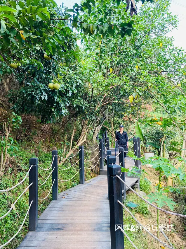  台中自然系景點：九號十號步道/ WalkerLand窩客島整理提供 未經許可不可轉載