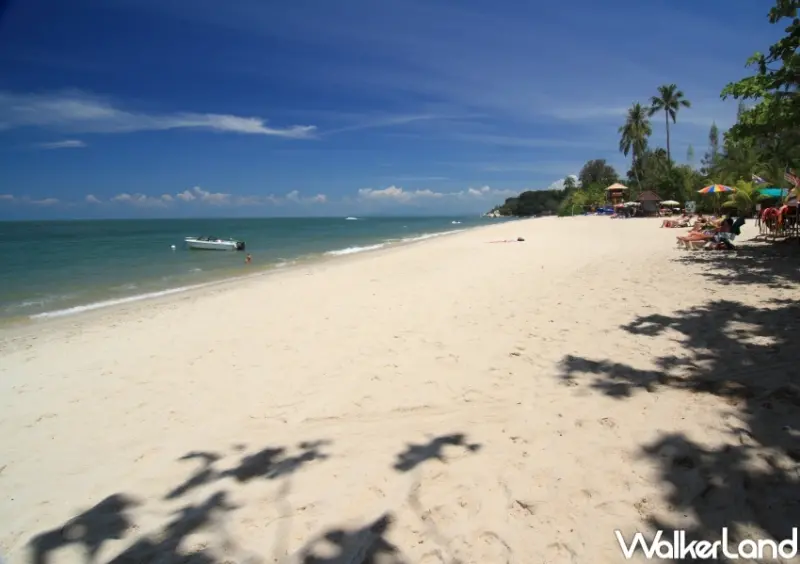 馬來西亞 檳城玩法推薦 / WalkerLand窩客島整理提供 未經許可，不得轉載