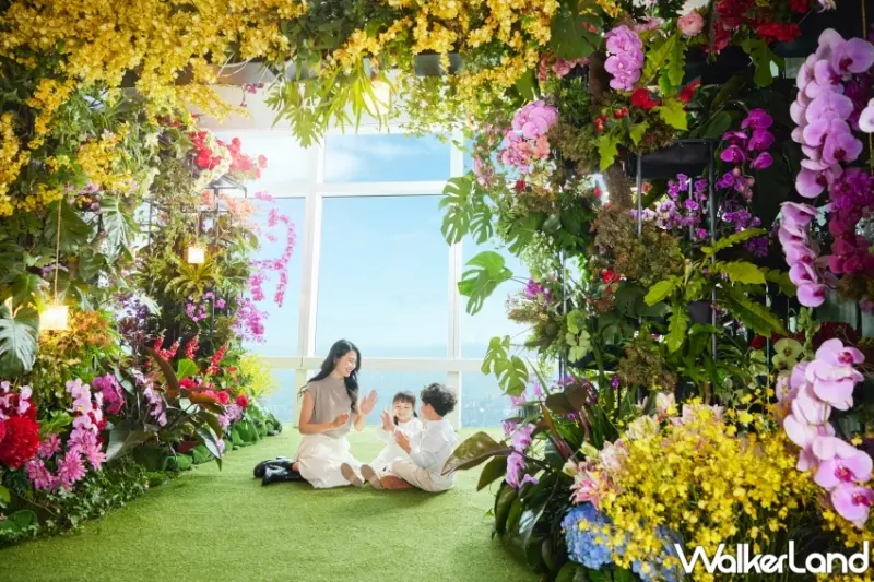 台北101蕨‧蘭之美