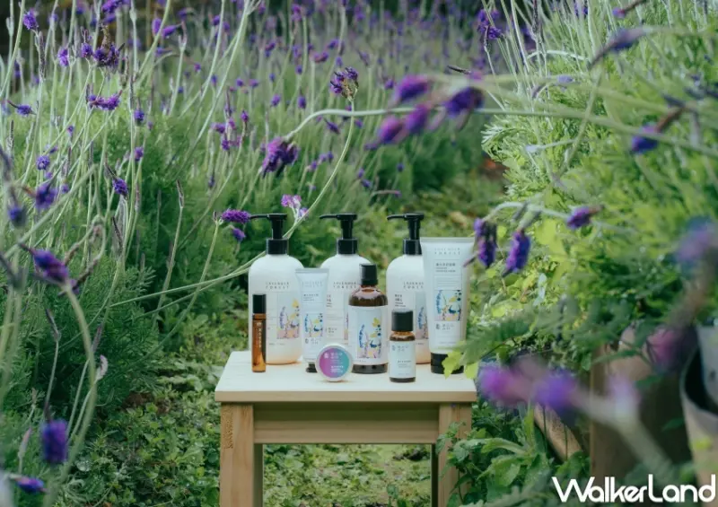 薰衣草森林 永續森林20年 綠色旅遊來放電活動  / WalkerLand窩客島整理提供 未經許可，不得轉載