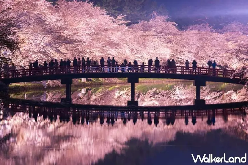 樂天旅遊日本賞櫻精選飯店85折優惠