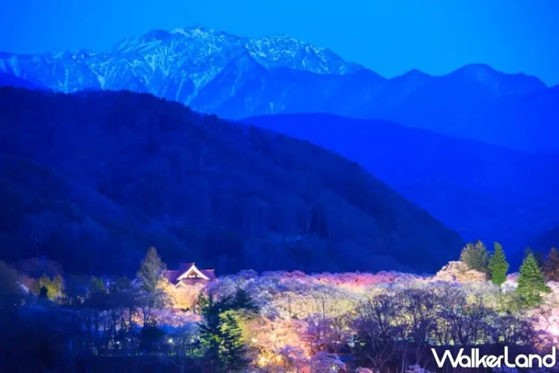 樂天旅遊日本賞櫻精選飯店85折優惠