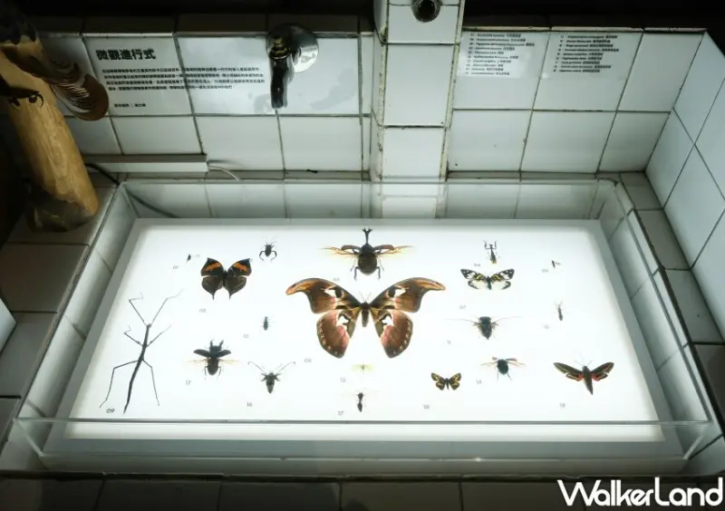 0km山物所 / WalkerLand窩客島整理提供 未經許可不可轉載。