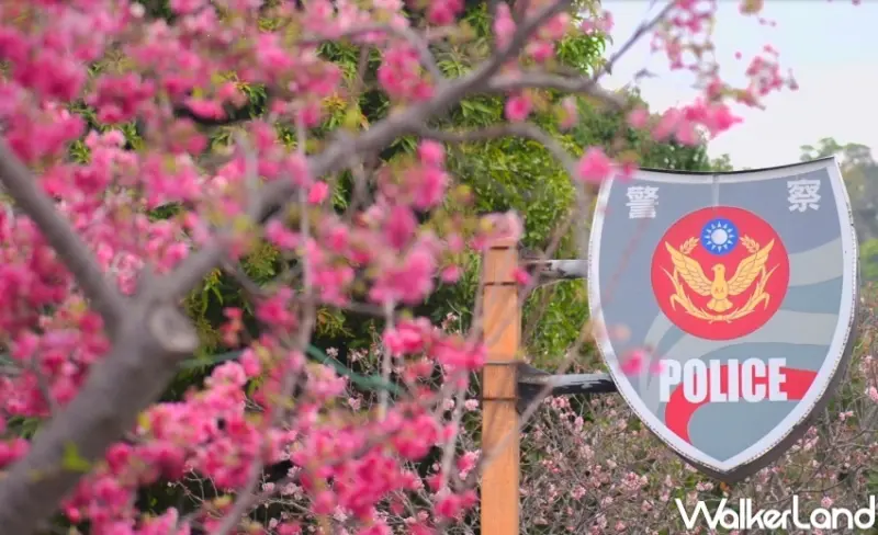 泰安派出所  / WalkerLand窩客島整理提供 未經許可，不得轉載