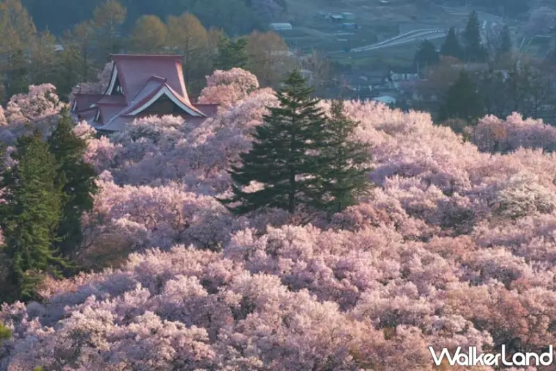 樂天旅遊日本賞櫻精選飯店85折優惠