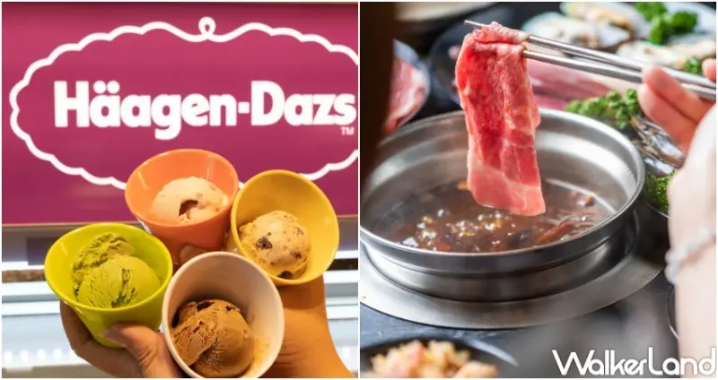 千葉火鍋、新千葉、享千葉  / WalkerLand窩客島整理提供 未經許可，不得轉載