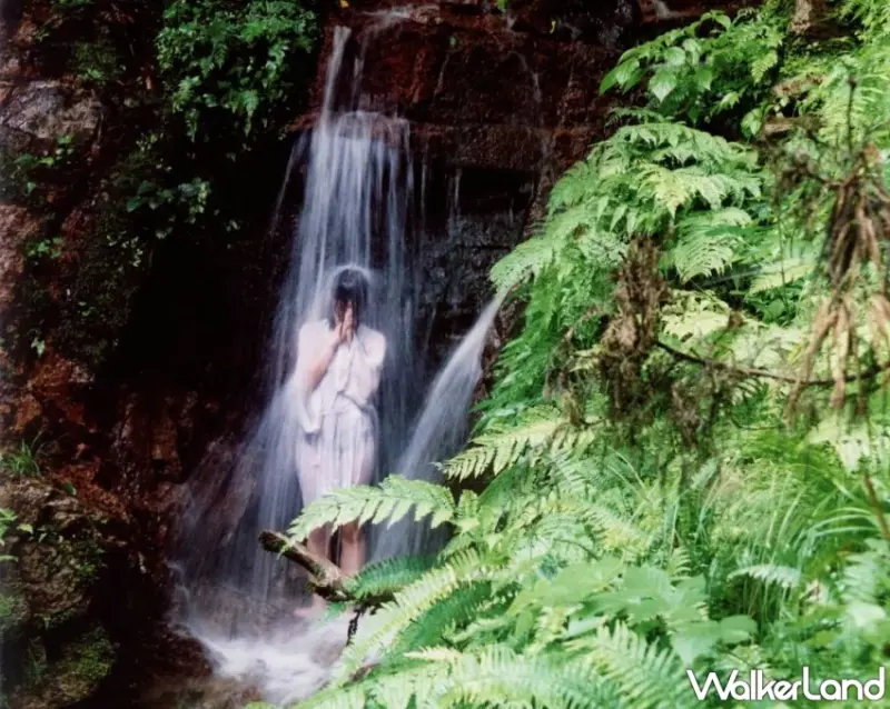 日本關西豐岡「城崎溫泉鄉」泡湯賞櫻感受日本春遊樂趣