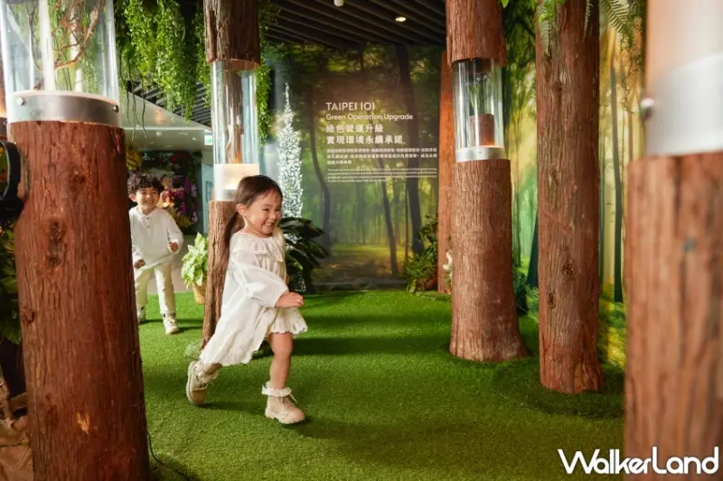 台北101蕨‧蘭之美