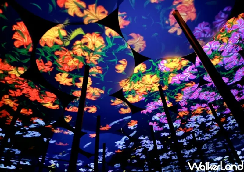 teamLab無界  / WalkerLand窩客島整理提供 未經許可，不得轉載