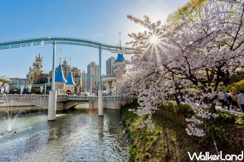 日本櫻花、韓國櫻花9大行程  / WalkerLand窩客島整理提供 未經許可，不得轉載