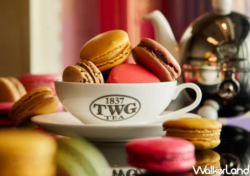 TWG Tea世界馬卡龍日 馬卡龍買一送一  / WalkerLand窩客島整理提供 未經許可，不得轉載