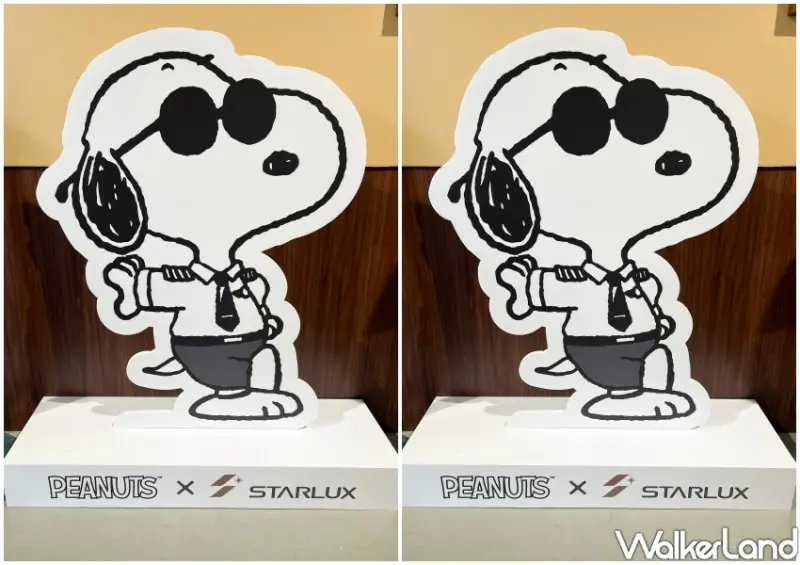 星宇航空Ｘ史努比主題航班/ WalkerLand窩客島整理提供 未經許可不可轉載。