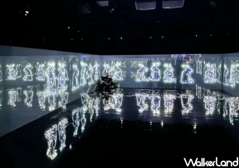 teamLab無界  / WalkerLand窩客島整理提供 未經許可，不得轉載