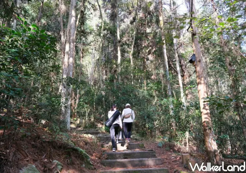 虹夕諾雅 谷關「傾聽自然之森」沐暑度假村二泊限定專案/ WalkerLand窩客島整理提供 未經許可不可轉載。