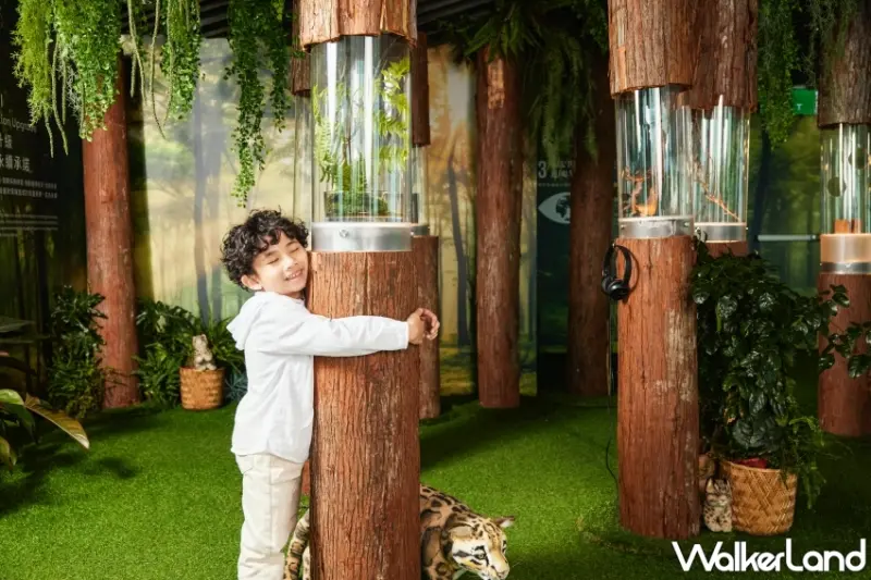 台北101蕨‧蘭之美