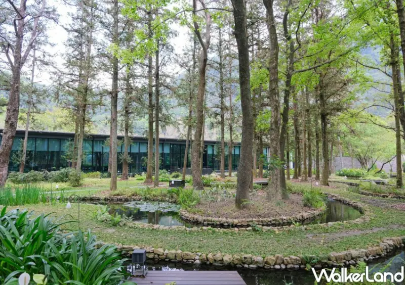 虹夕諾雅 谷關「傾聽自然之森」沐暑度假村二泊限定專案/ WalkerLand窩客島整理提供 未經許可不可轉載。