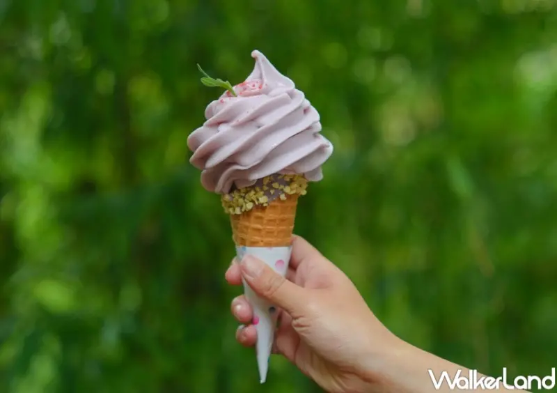 薰衣草森林 永續森林20年 綠色旅遊來放電活動  / WalkerLand窩客島整理提供 未經許可，不得轉載