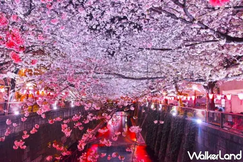 樂天旅遊日本賞櫻精選飯店85折優惠