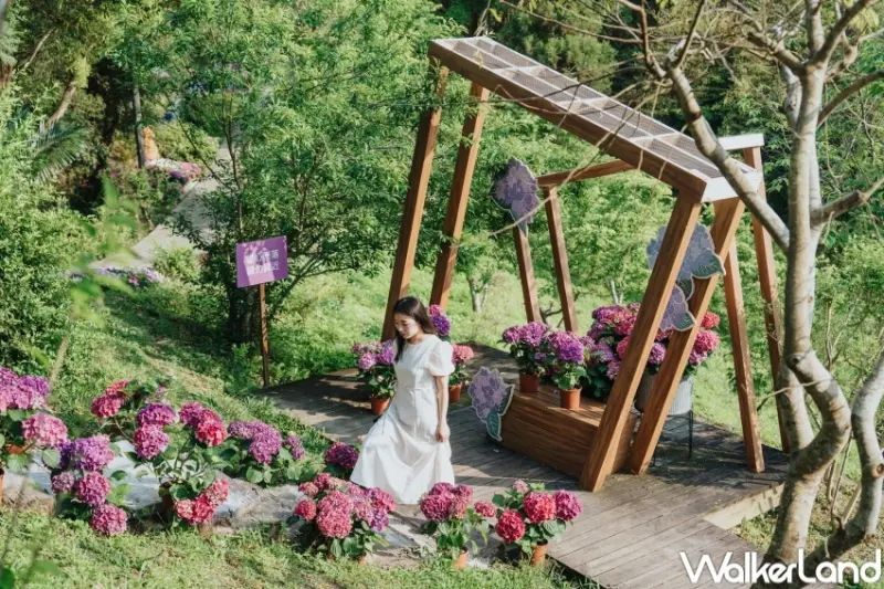 薰衣草森林 永續森林20年 綠色旅遊來放電活動  / WalkerLand窩客島整理提供 未經許可，不得轉載