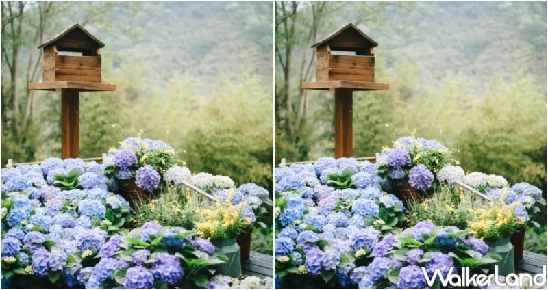 薰衣草森林 永續森林20年 綠色旅遊來放電活動  / WalkerLand窩客島整理提供 未經許可，不得轉載