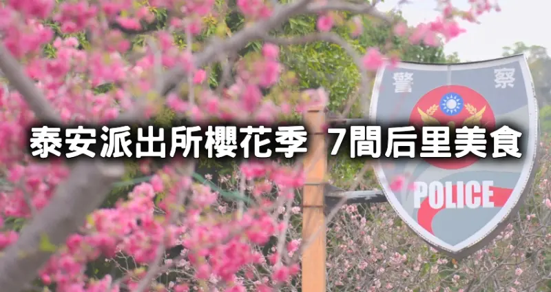 相機吃飽、肚子也飽！台中后里「泰安櫻花季」再不衝就要等明年，加碼推薦「台中后里7大美食」賞櫻行程一秒get。