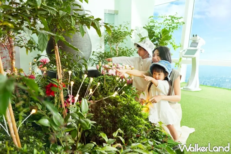 台北101蕨‧蘭之美