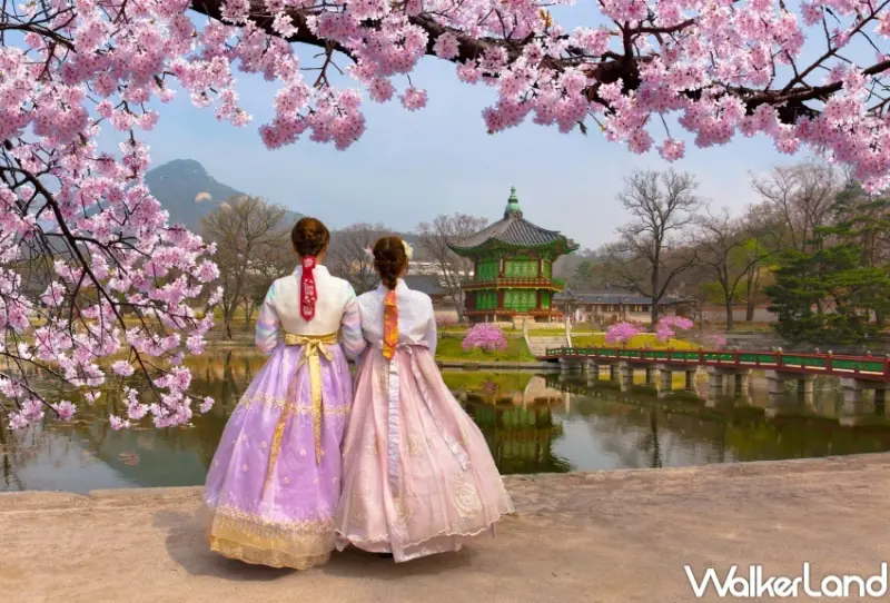 日本櫻花、韓國櫻花9大行程  / WalkerLand窩客島整理提供 未經許可，不得轉載