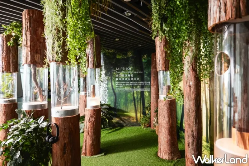 台北101蕨‧蘭之美