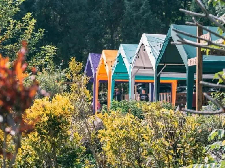 南投縣仁愛鄉【2024南投露營地精選】TOP5高評價南投營位、熱門自搭帳露營區